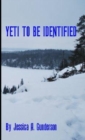 Image for Yeti to be Identified