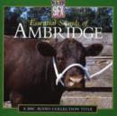 Image for Essential sounds of Ambridge
