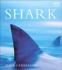 Image for Shark