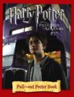 Image for Harry Potter and the Prisoner of Azkaban : Pull-out Poster Book