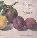 Image for Images from nature  : drawings and paintings from the library of the Natural History Museum
