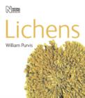 Image for Lichens