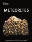 Image for Meteorites