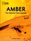 Image for Amber  : the natural time capsule