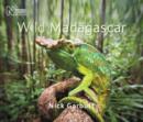 Image for WILD MADAGASCAR