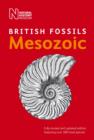 Image for British Mesozoic Fossils