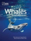 Image for Whales  : a guide to their biology and behaviour