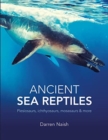 Image for Ancient Sea Reptiles : Plesiosaurs, ichthyosaurs, mosasaurs and more