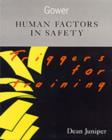 Image for Human Factors in Safety