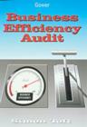 Image for Business Efficiency Audit