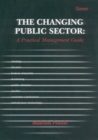 Image for The changing public sector  : a practical management guide