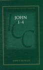 Image for John 1-4  : a critical and exegetical commentary