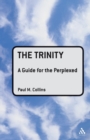 Image for The Trinity: A Guide for the Perplexed