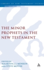 Image for The Minor Prophets in the New Testament