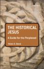 Image for The historical Jesus  : a guide for the perplexed