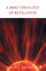 Image for A Brief Theology of Revelation