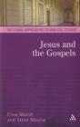 Image for Jesus and the Gospels : An Introduction