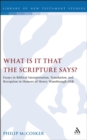 Image for What is it that the Scripture says?: essays in biblical interpretation, translation, and reception in honour of Henry Wansbrough OSB