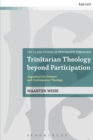 Image for Trinitarian Theology Beyond Participation: Augustine&#39;s De Trinitate and Contemporary Theology