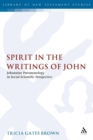 Image for Spirit in the Writings of John