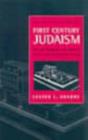 Image for An Introduction to First Century Judaism
