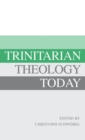 Image for Trinitarian Theology Today : Essays on Divine Being and Act