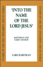 Image for Into the name of the Lord Jesus: baptism in the early church