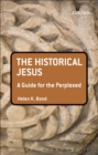 Image for The Historical Jesus: A Guide for the Perplexed