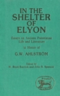 Image for In the shelter of Elyon: essays on ancient Palestinian life and literature in honour of G.W. Ahlstrom