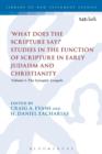 Image for &#39;What Does the Scripture Say?&#39; studies in the function of Scripture in early Judaism and ChristianityVolume 1,: The synoptic gospels