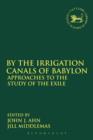 Image for By the irrigation canals of Babylon  : approaches to the study of the exile