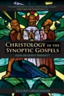 Image for Christology in the Synoptic Gospels