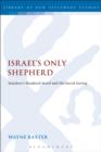 Image for Israel&#39;s only shepherd: Matthew&#39;s shepherd motif and his social setting