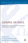 Image for Gospel in Paul: studies on Corinthians, Galatians and Romans for Richard N. Longenecker : 108
