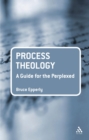 Image for Process Theology: A Guide for the Perplexed