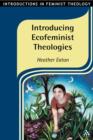 Image for Introducing Ecofeminist Theologies