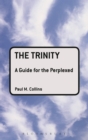 Image for The Trinity: a guide for the perplexed