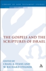 Image for The Gospels and the Scriptures of Israel : 3