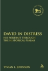 Image for David in distress: his portrait through the historical psalms