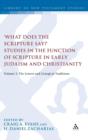 Image for What Does the Scripture Say?&#39; Studies in the Function of Scripture in Early Judaism and Christianity : Volume 2: The Letters and Liturgical Traditions