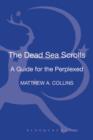 Image for T&amp;T Clark Introduction to the Dead Sea Scrolls