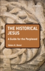 Image for The historical Jesus: a guide for the perplexed