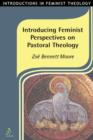 Image for Introducing Feminist Perspectives On Pastoral Theology