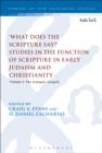 Image for &#39;What Does the Scripture Say?&#39; studies in the function of Scripture in early Judaism and Christianity.: (The synoptic gospels) : Volume 1,
