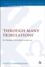 Image for Through many tribulations: the theology of persecution in Luke-Acts