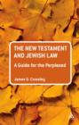 Image for New Testament and Jewish Law: A Guide for the Perplexed