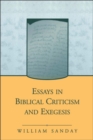 Image for Essays in Biblical criticism and exegesis
