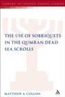 Image for The Use of Sobriquets in the Qumran Dead Sea Scrolls