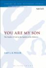 Image for You are my son: the family of God in the epistle of the Hebrews : 486