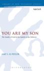 Image for You Are My Son : The Family of God in the Epistle to the Hebrews